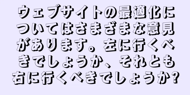 ウェブサイトの最適化についてはさまざまな意見があります。左に行くべきでしょうか、それとも右に行くべきでしょうか?