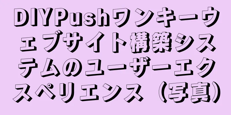 DIYPushワンキーウェブサイト構築システムのユーザーエクスペリエンス（写真）