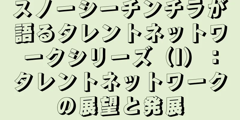 スノーシーチンチラが語るタレントネットワークシリーズ（I）：タレントネットワークの展望と発展