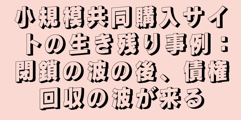 小規模共同購入サイトの生き残り事例：閉鎖の波の後、債権回収の波が来る