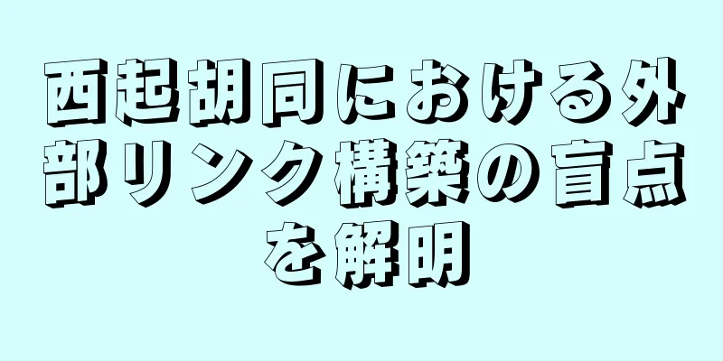 西起胡同における外部リンク構築の盲点を解明