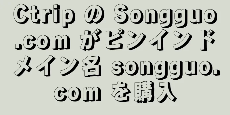 Ctrip の Songguo.com がピンインドメイン名 songguo.com を購入