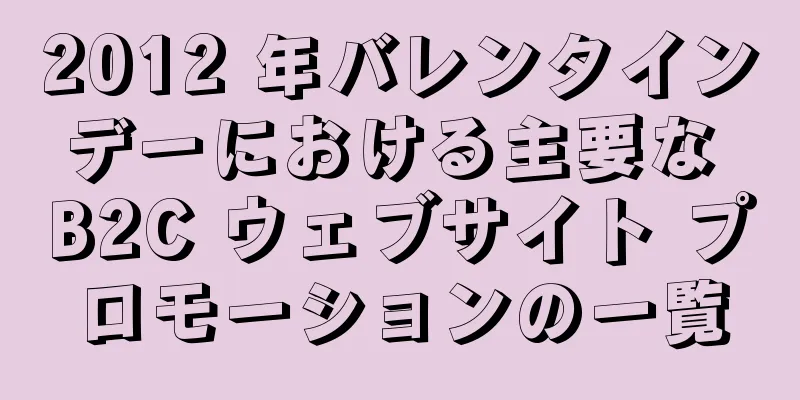 2012 年バレンタインデーにおける主要な B2C ウェブサイト プロモーションの一覧