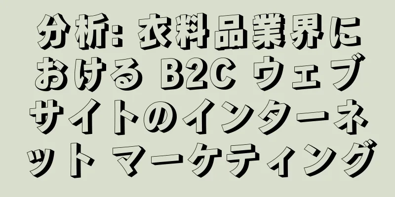 分析: 衣料品業界における B2C ウェブサイトのインターネット マーケティング