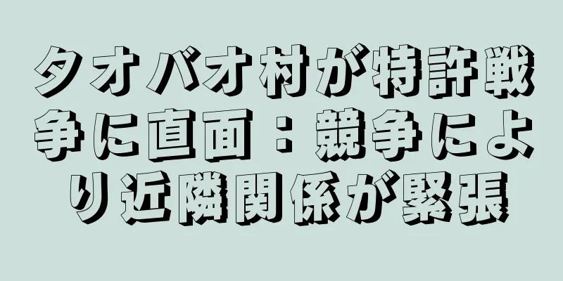 タオバオ村が特許戦争に直面：競争により近隣関係が緊張