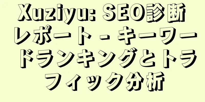 Xuziyu: SEO診断レポート - キーワードランキングとトラフィック分析