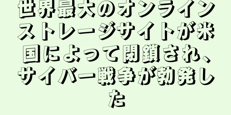 世界最大のオンラインストレージサイトが米国によって閉鎖され、サイバー戦争が勃発した