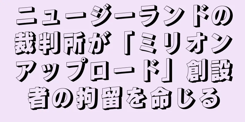 ニュージーランドの裁判所が「ミリオンアップロード」創設者の拘留を命じる