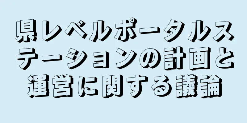 県レベルポータルステーションの計画と運営に関する議論