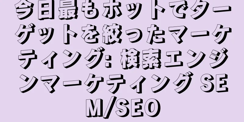 今日最もホットでターゲットを絞ったマーケティング: 検索エンジンマーケティング SEM/SEO