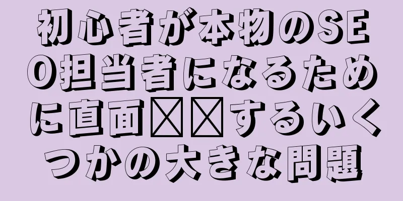 初心者が本物のSEO担当者になるために直面​​するいくつかの大きな問題