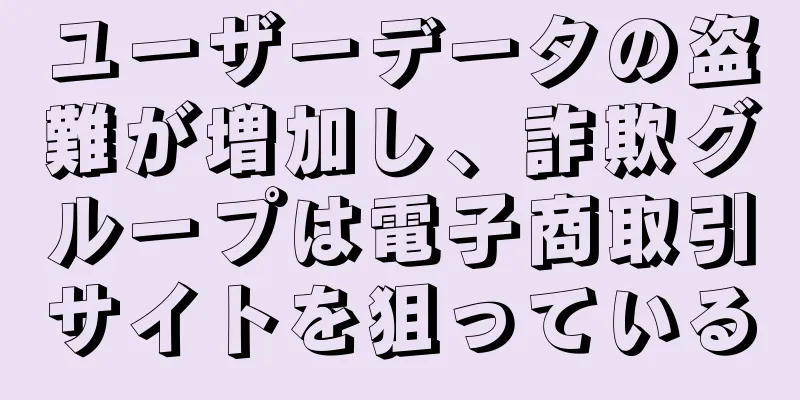 ユーザーデータの盗難が増加し、詐欺グループは電子商取引サイトを狙っている