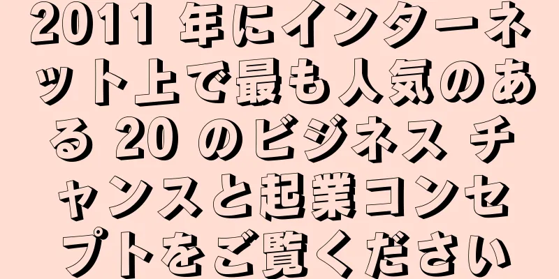 2011 年にインターネット上で最も人気のある 20 のビジネス チャンスと起業コンセプトをご覧ください