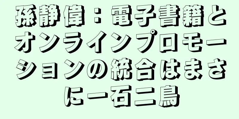 孫静偉：電子書籍とオンラインプロモーションの統合はまさに一石二鳥
