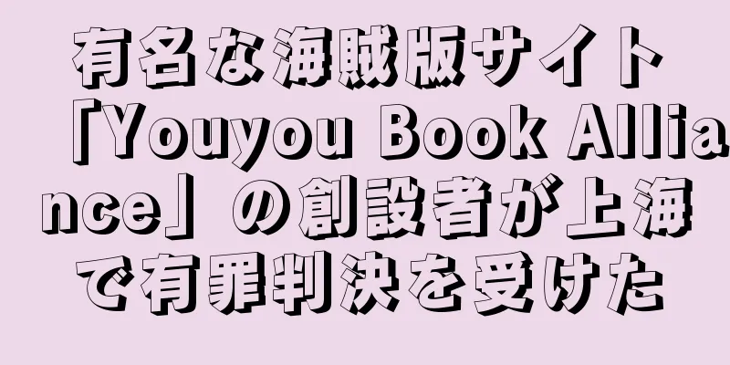 有名な海賊版サイト「Youyou Book Alliance」の創設者が上海で有罪判決を受けた