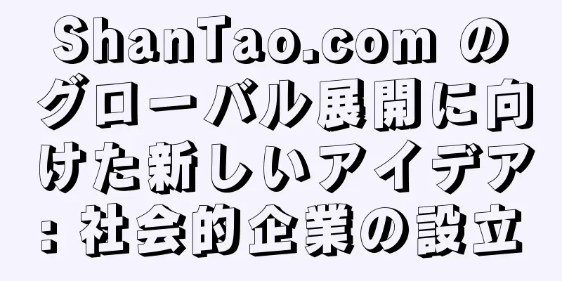 ShanTao.com のグローバル展開に向けた新しいアイデア: 社会的企業の設立