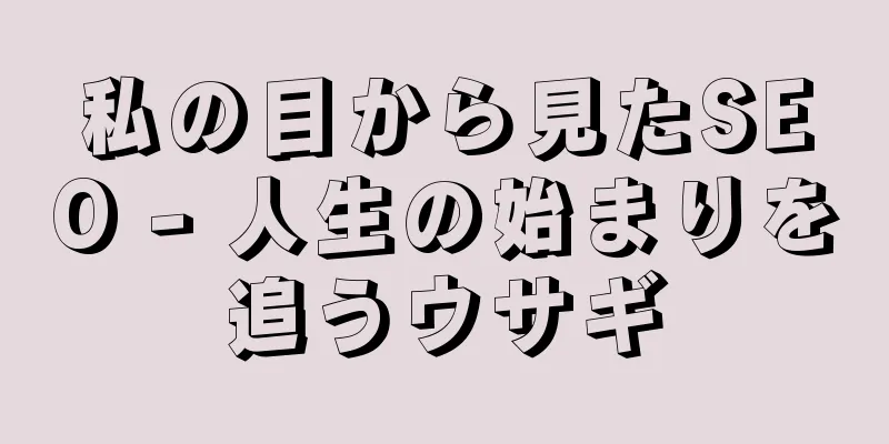 私の目から見たSEO - 人生の始まりを追うウサギ