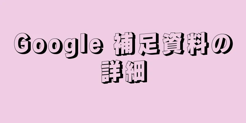 Google 補足資料の詳細