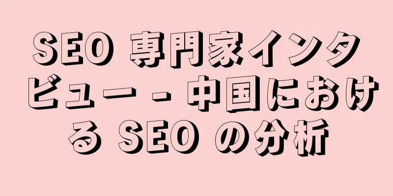 SEO 専門家インタビュー - 中国における SEO の分析