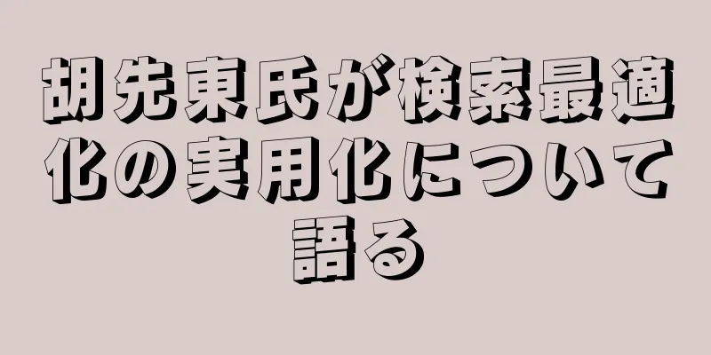胡先東氏が検索最適化の実用化について語る
