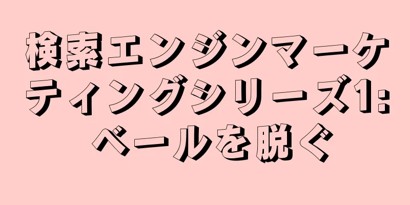 検索エンジンマーケティングシリーズ1: ベールを脱ぐ