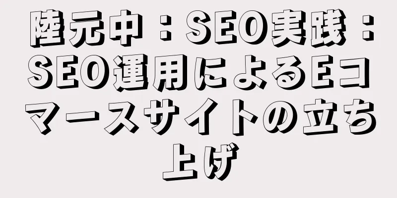 陸元中：SEO実践：SEO運用によるEコマースサイトの立ち上げ