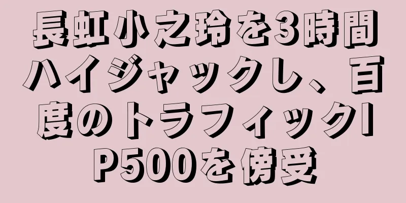 長虹小之玲を3時間ハイジャックし、百度のトラフィックIP500を傍受
