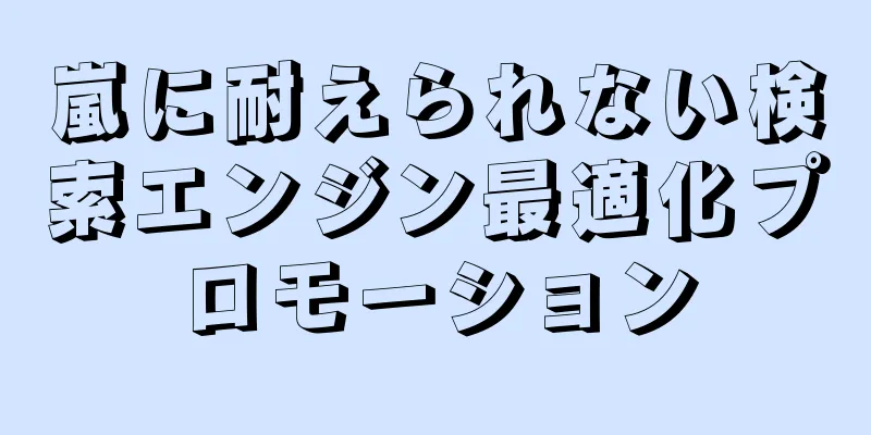 嵐に耐えられない検索エンジン最適化プロモーション