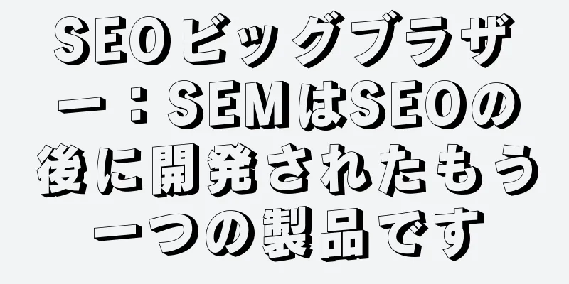 SEOビッグブラザー：SEMはSEOの後に開発されたもう一つの製品です