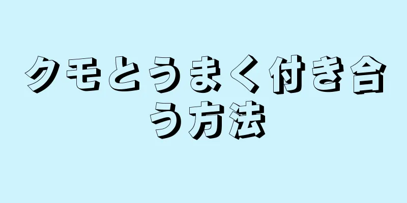 クモとうまく付き合う方法