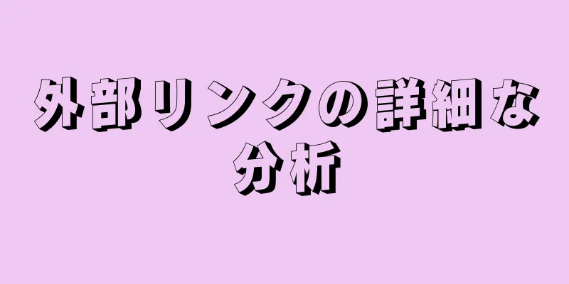 外部リンクの詳細な分析