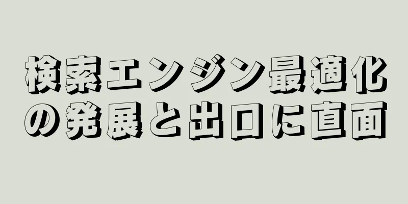 検索エンジン最適化の発展と出口に直面