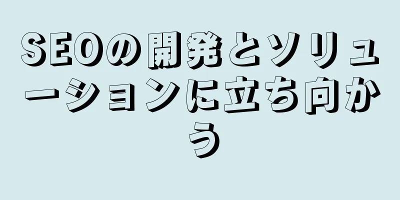 SEOの開発とソリューションに立ち向かう
