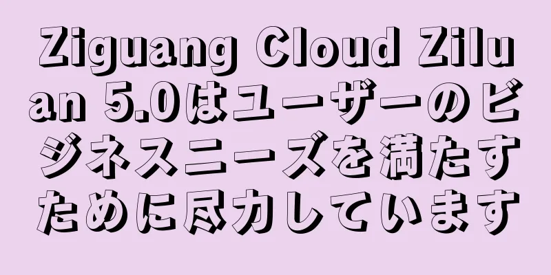 Ziguang Cloud Ziluan 5.0はユーザーのビジネスニーズを満たすために尽力しています