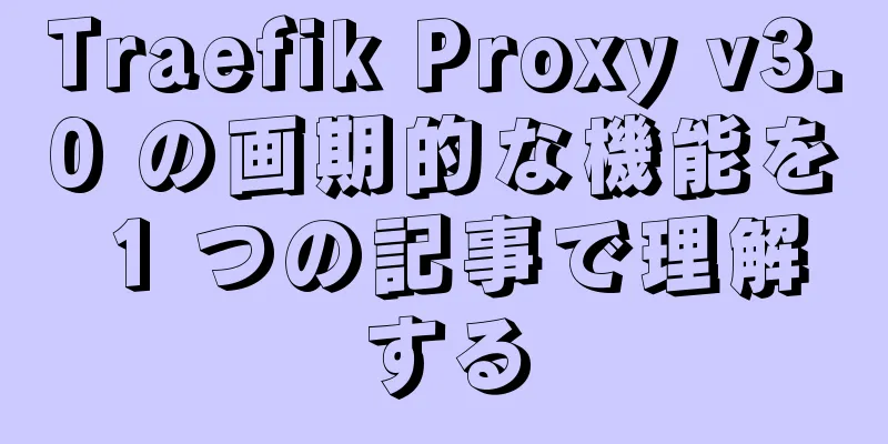 Traefik Proxy v3.0 の画期的な機能を 1 つの記事で理解する
