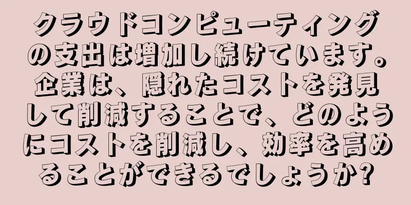 クラウドコンピューティングの支出は増加し続けています。企業は、隠れたコストを発見して削減することで、どのようにコストを削減し、効率を高めることができるでしょうか?