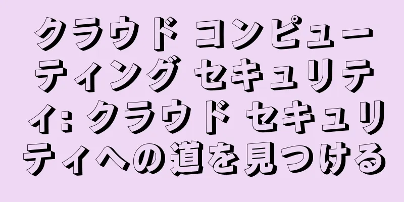 クラウド コンピューティング セキュリティ: クラウド セキュリティへの道を見つける