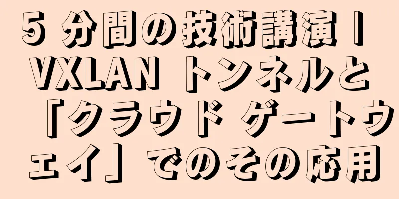 5 分間の技術講演 | VXLAN トンネルと「クラウド ゲートウェイ」でのその応用