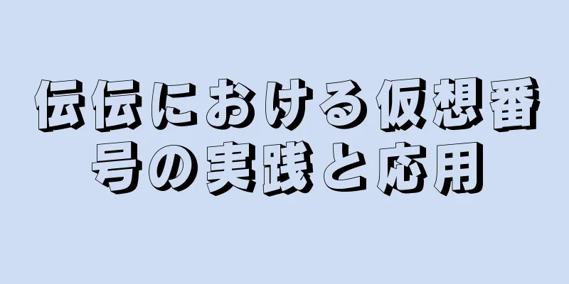 伝伝における仮想番号の実践と応用