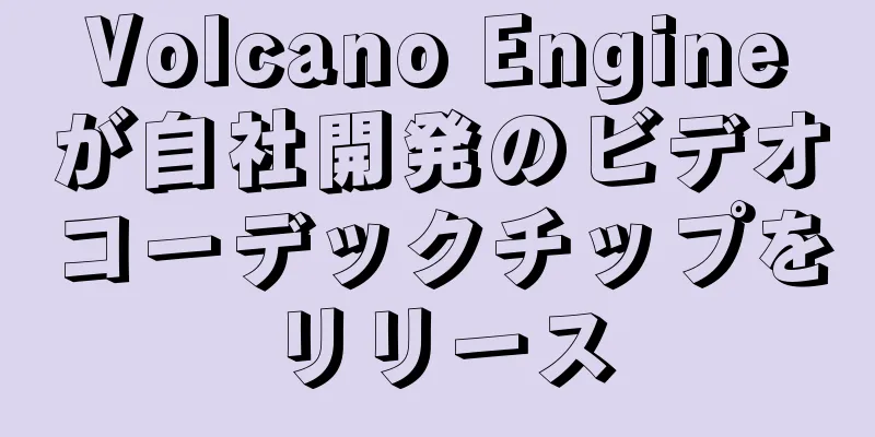 Volcano Engineが自社開発のビデオコーデックチップをリリース