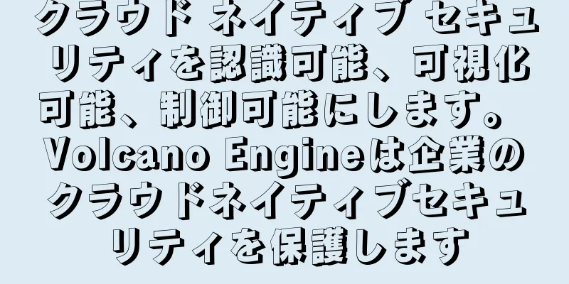 クラウド ネイティブ セキュリティを認識可能、可視化可能、制御可能にします。 Volcano Engineは企業のクラウドネイティブセキュリティを保護します