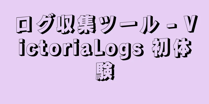 ログ収集ツール - VictoriaLogs 初体験