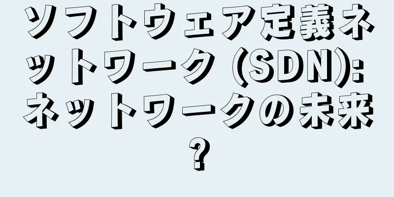 ソフトウェア定義ネットワーク (SDN): ネットワークの未来?
