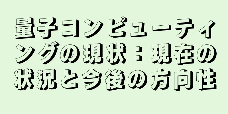 量子コンピューティングの現状：現在の状況と今後の方向性