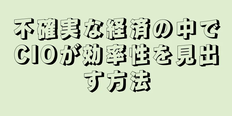不確実な経済の中でCIOが効率性を見出す方法