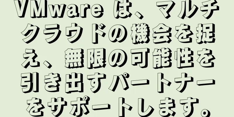 VMware は、マルチクラウドの機会を捉え、無限の可能性を引き出すパートナーをサポートします。