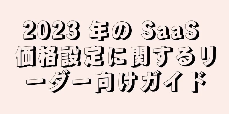 2023 年の SaaS 価格設定に関するリーダー向けガイド