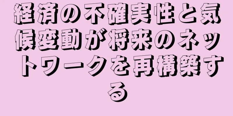 経済の不確実性と気候変動が将来のネットワークを再構築する