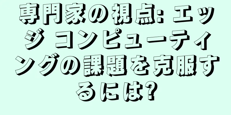 専門家の視点: エッジ コンピューティングの課題を克服するには?