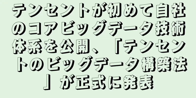 テンセントが初めて自社のコアビッグデータ技術体系を公開、「テンセントのビッグデータ構築法」が正式に発表